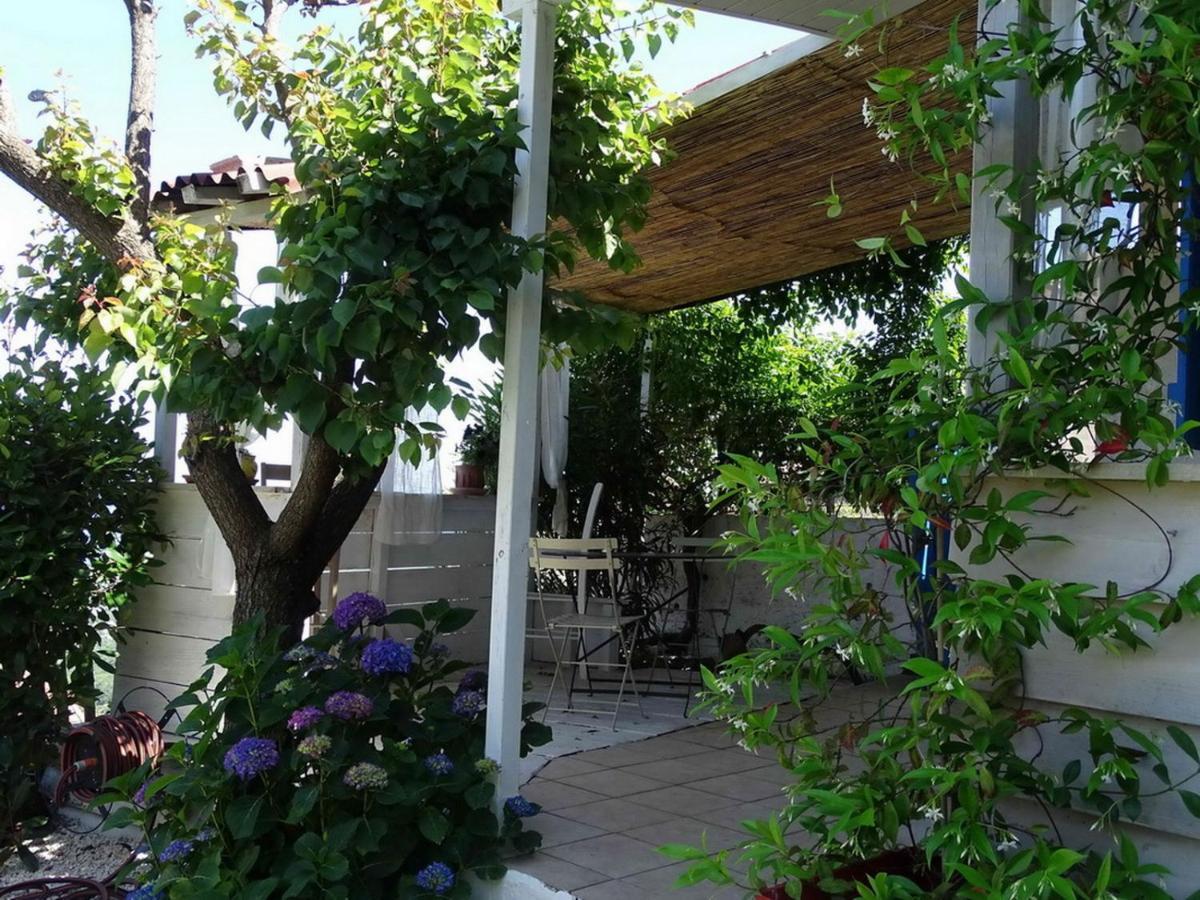 Casa Pentone Villa Cervione Eksteriør billede
