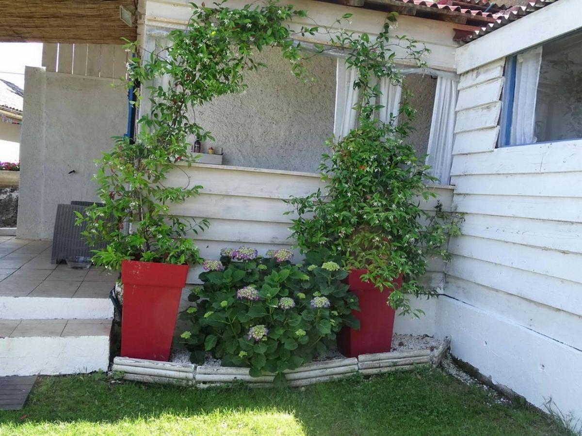 Casa Pentone Villa Cervione Eksteriør billede