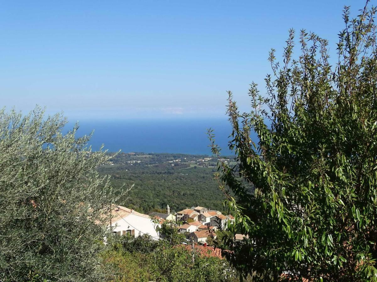 Casa Pentone Villa Cervione Eksteriør billede